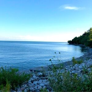 Meet your Posher, Vaishnavy